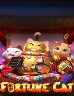 Fortune Cat