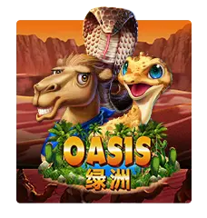 Oasis